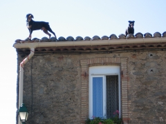 2007  chiens sur le toit des Faugères.JPG