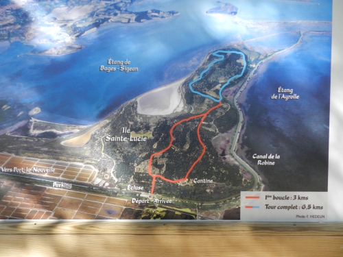 DSCN9578.JPG