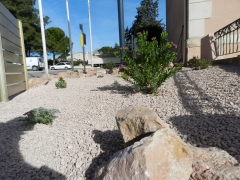 DSCN8915.JPG