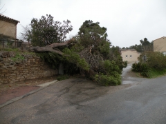 -2009-1 tempête du 24 janv.jpg