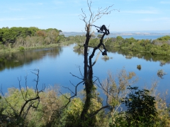 DSCN9595.JPG