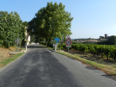 chemin N°6 coté Trèbes.JPG