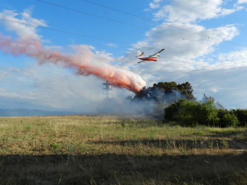 feu de pinède