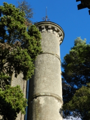2014-02-09.JPG
