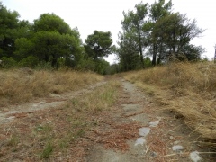 chemin de Buadelles.JPG