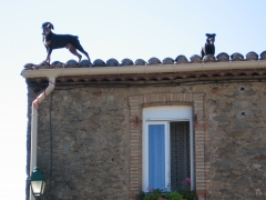 2007  chiens sur le toit des Faugères.JPG