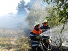 feu de pinède