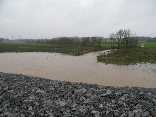 pluie 17-03-2011 017.jpg