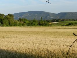 Agriculture et Paysages