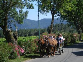 Agriculture et Paysages_12