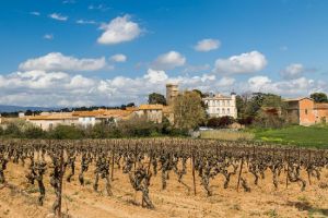 Agriculture et Paysages