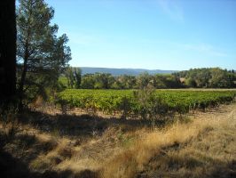 Agriculture et Paysages