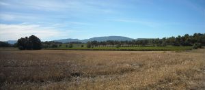 Agriculture et Paysages