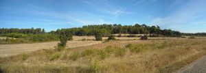 Agriculture et Paysages