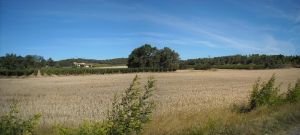 Agriculture et Paysages