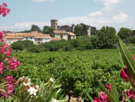 Agriculture et Paysages