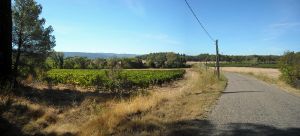 Agriculture et Paysages