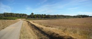 Agriculture et Paysages