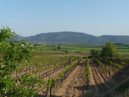 Agriculture et Paysages