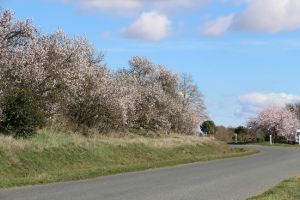 Agriculture et Paysages