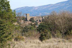 Agriculture et Paysages