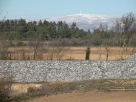 Agriculture et Paysages_3