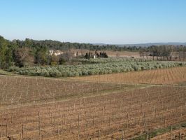 Agriculture et Paysages