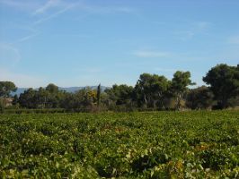 Châteaux et Domaines