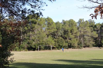 terrain de foot light